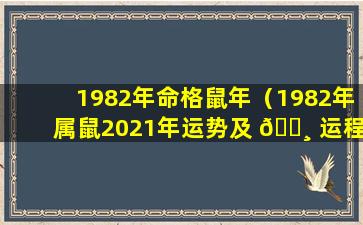 1982年命格鼠年（1982年属鼠2021年运势及 🕸 运程）